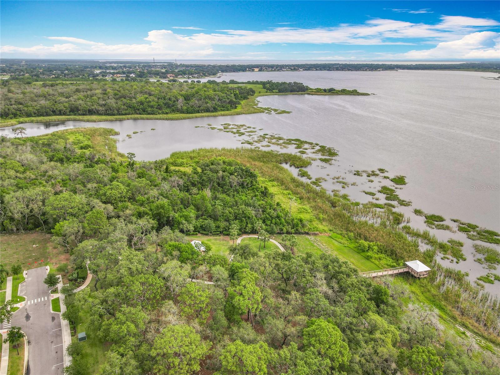 1373 WILLIAMS RD, WINTER GARDEN, FL, 34787