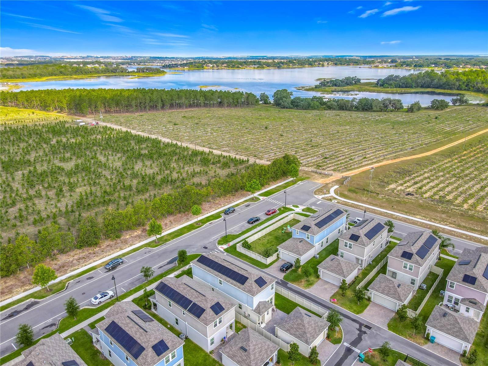 1373 WILLIAMS RD, WINTER GARDEN, FL, 34787