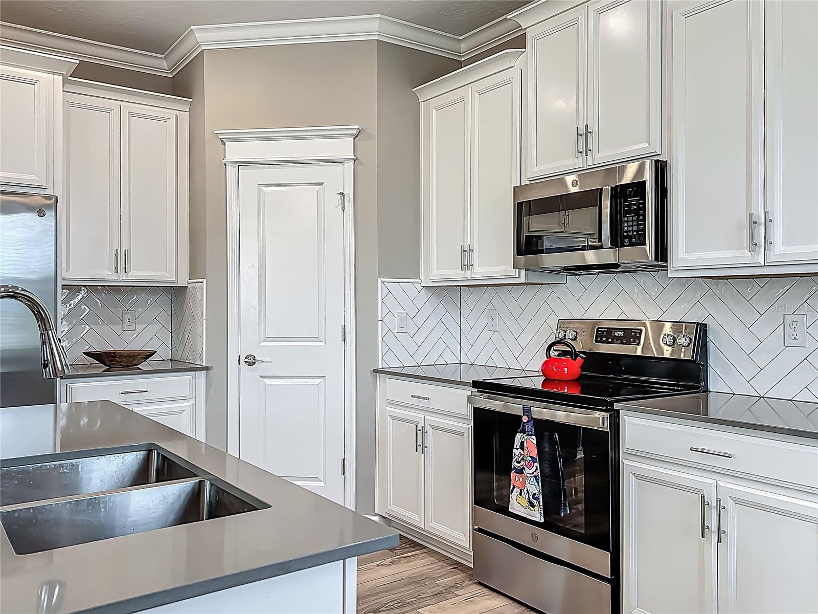 1373 WILLIAMS RD, WINTER GARDEN, FL, 34787