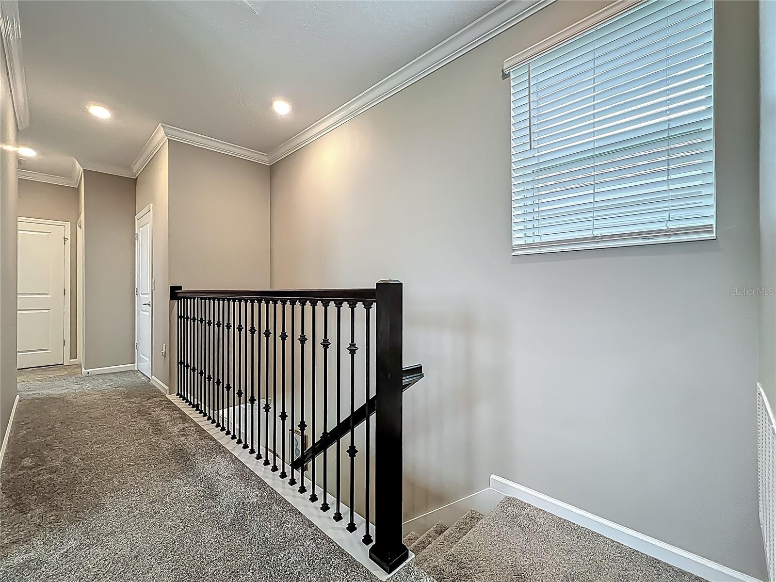 1373 WILLIAMS RD, WINTER GARDEN, FL, 34787