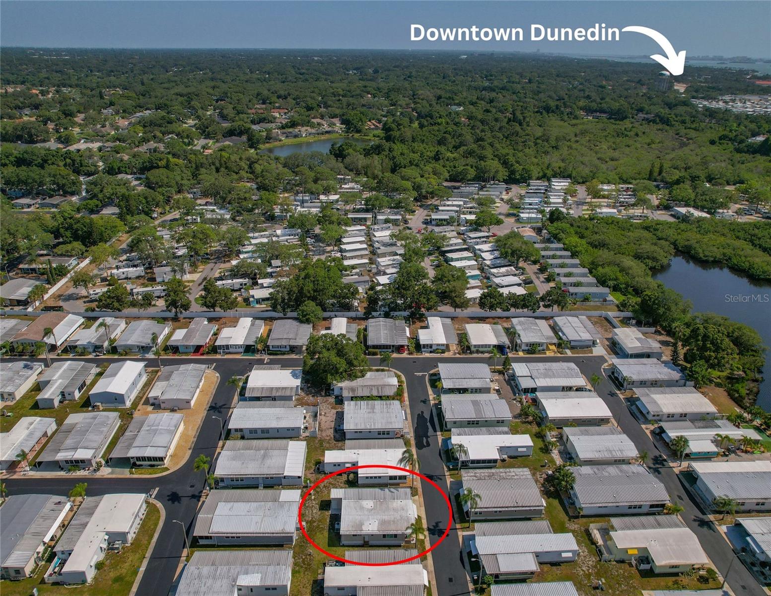 3301 ALT 19 #611, PALM HARBOR, FL, 34683