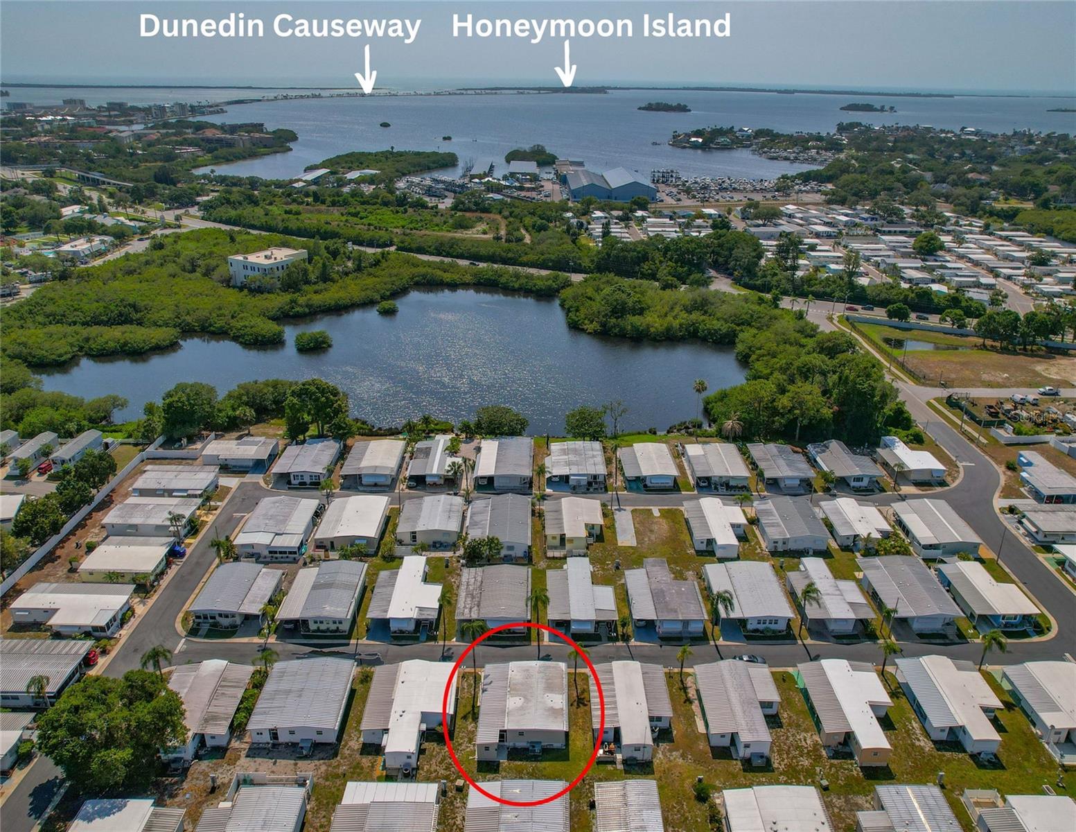 3301 ALT 19 #611, PALM HARBOR, FL, 34683