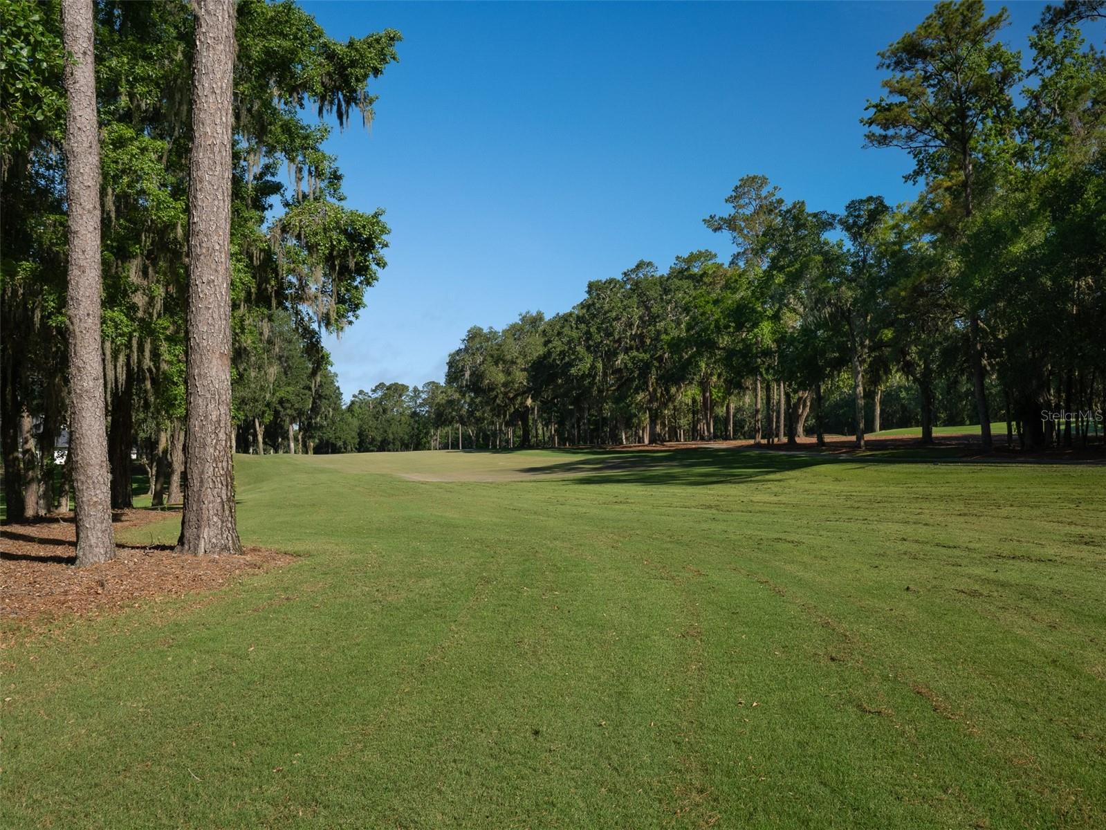 8033 NW 29TH STREET RD, OCALA, FL, 34482