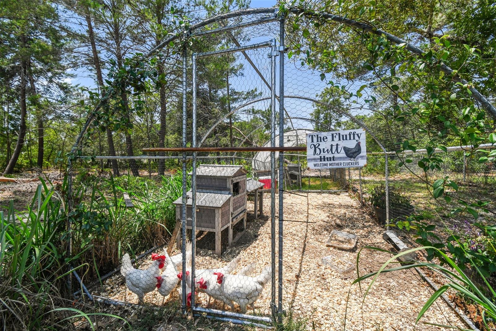 9091 MAZETTE RD, WEEKI WACHEE, FL, 34613