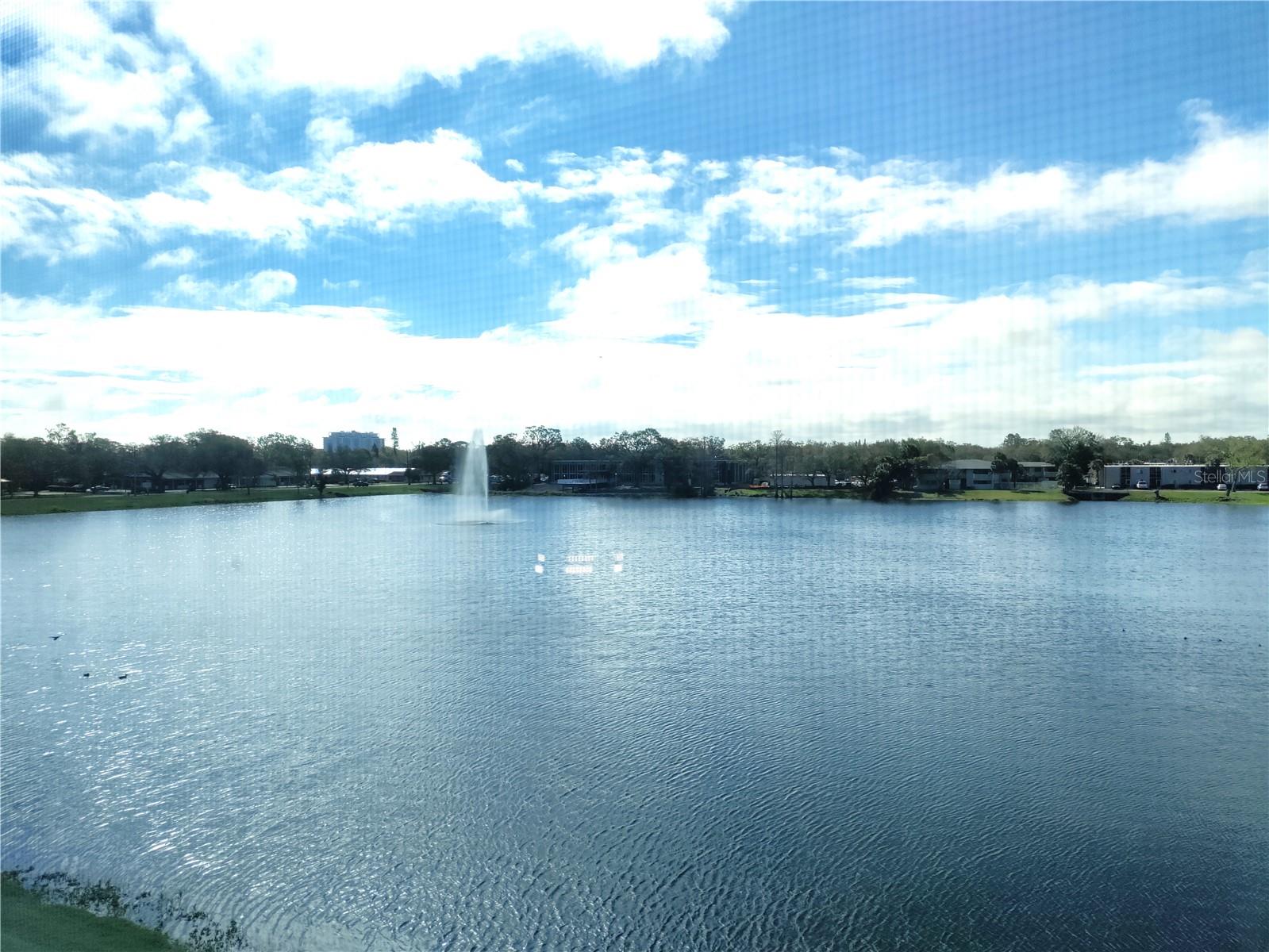 3850 13TH AVE N #311, ST PETERSBURG, FL, 33713