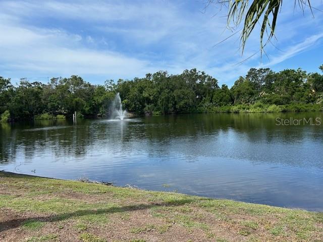 2713 4TH CT, PALM HARBOR, FL, 34684