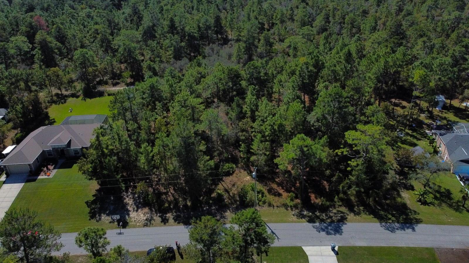 FLOCK AVE, BROOKSVILLE, FL, 34613