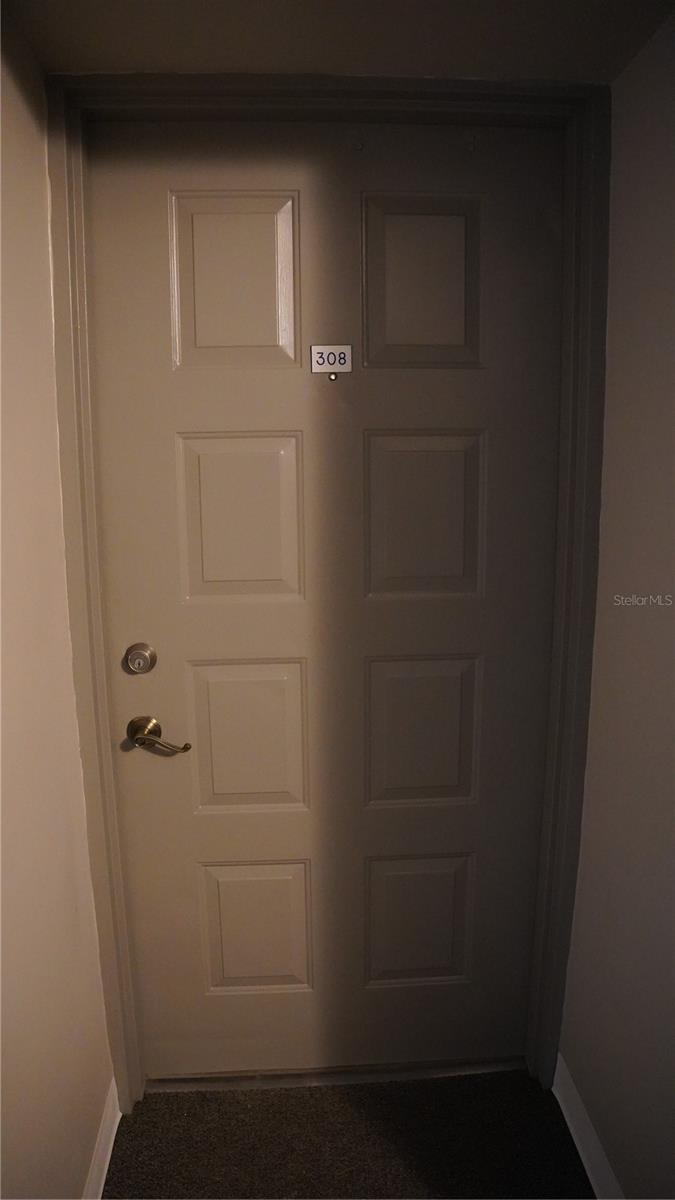 4411 SHADY TERRACE LN #308, TAMPA, FL, 33613