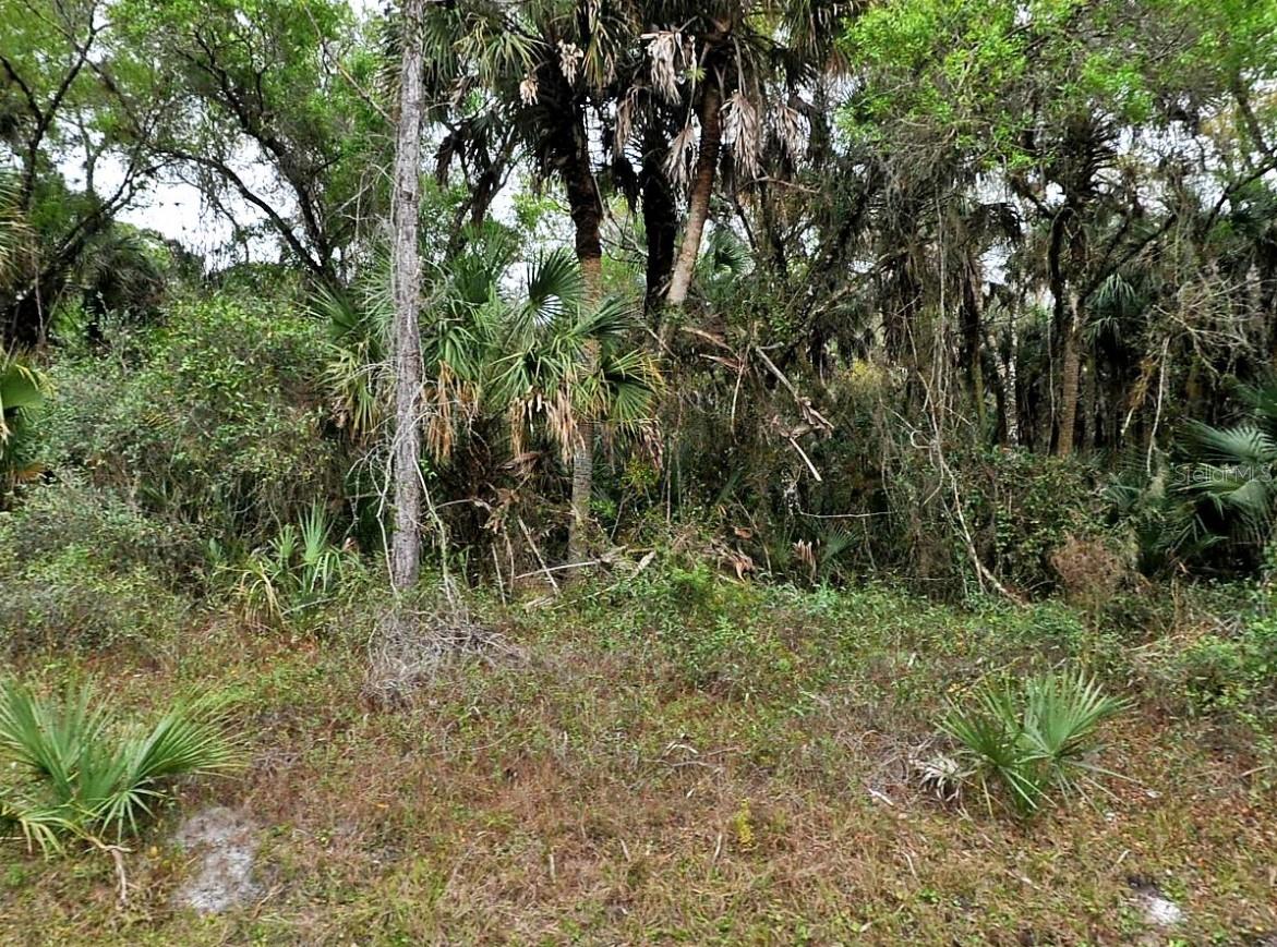 HURDLE RD., NORTH PORT, FL, 34291