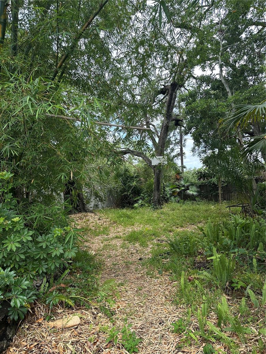 0 DAVID AVE, CLEARWATER, FL, 33759