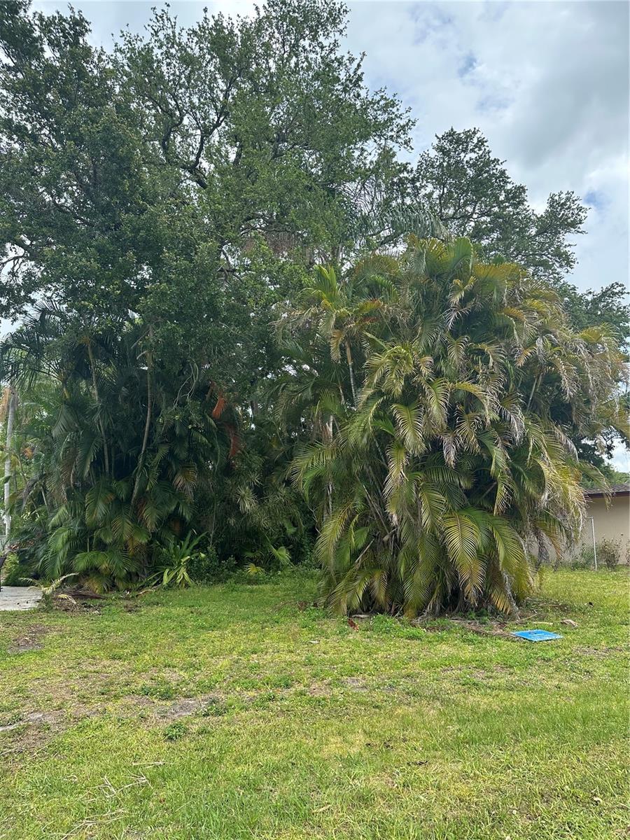 0 DAVID AVE, CLEARWATER, FL, 33759