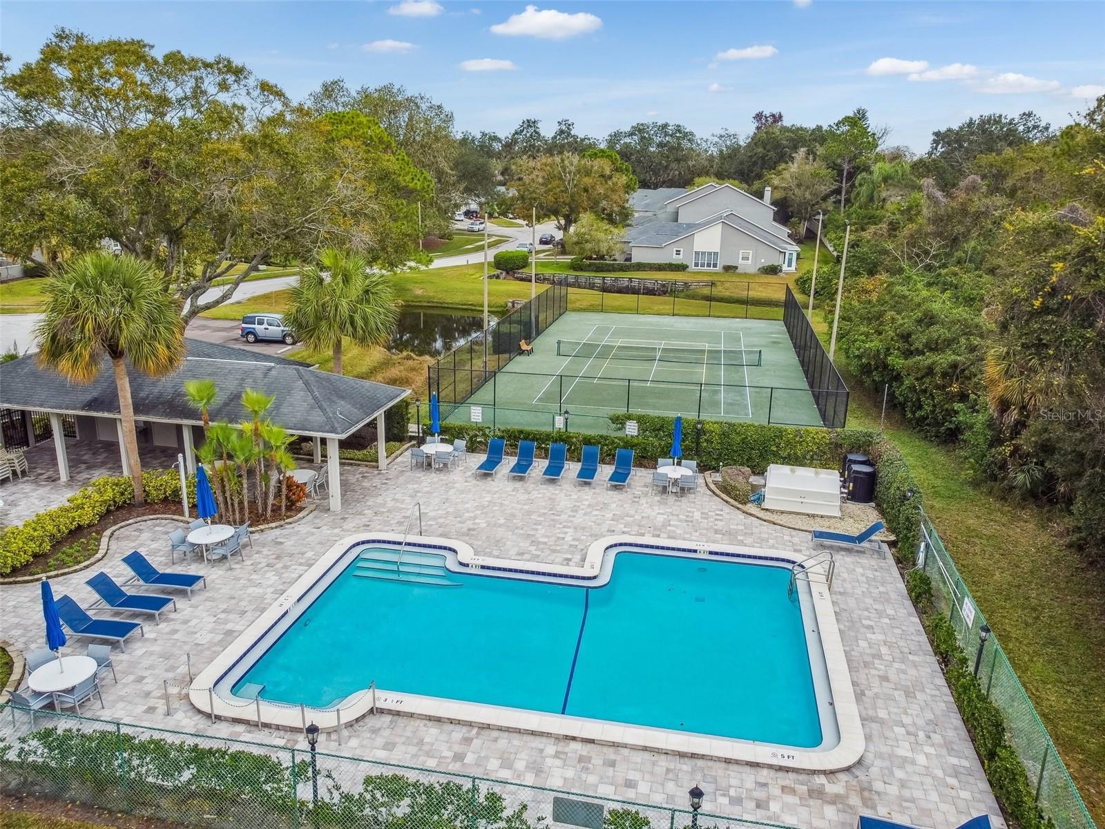 232 HUNTER CT, PALM HARBOR, FL, 34684