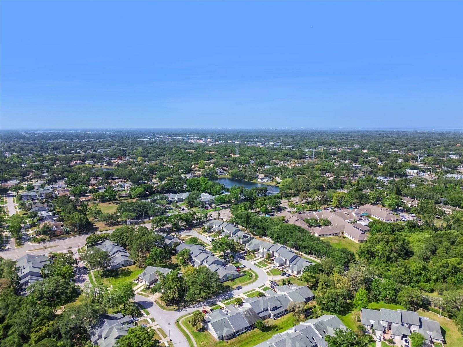 232 HUNTER CT, PALM HARBOR, FL, 34684