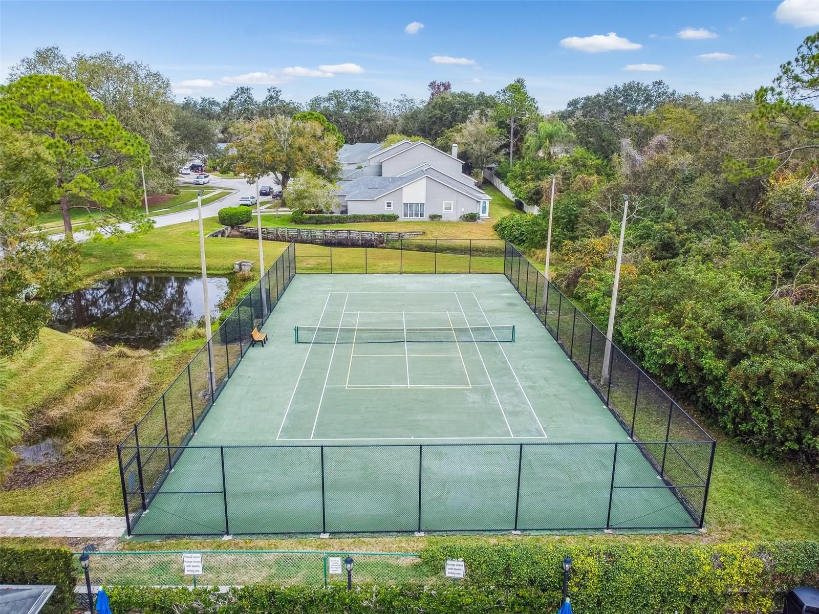 232 HUNTER CT, PALM HARBOR, FL, 34684