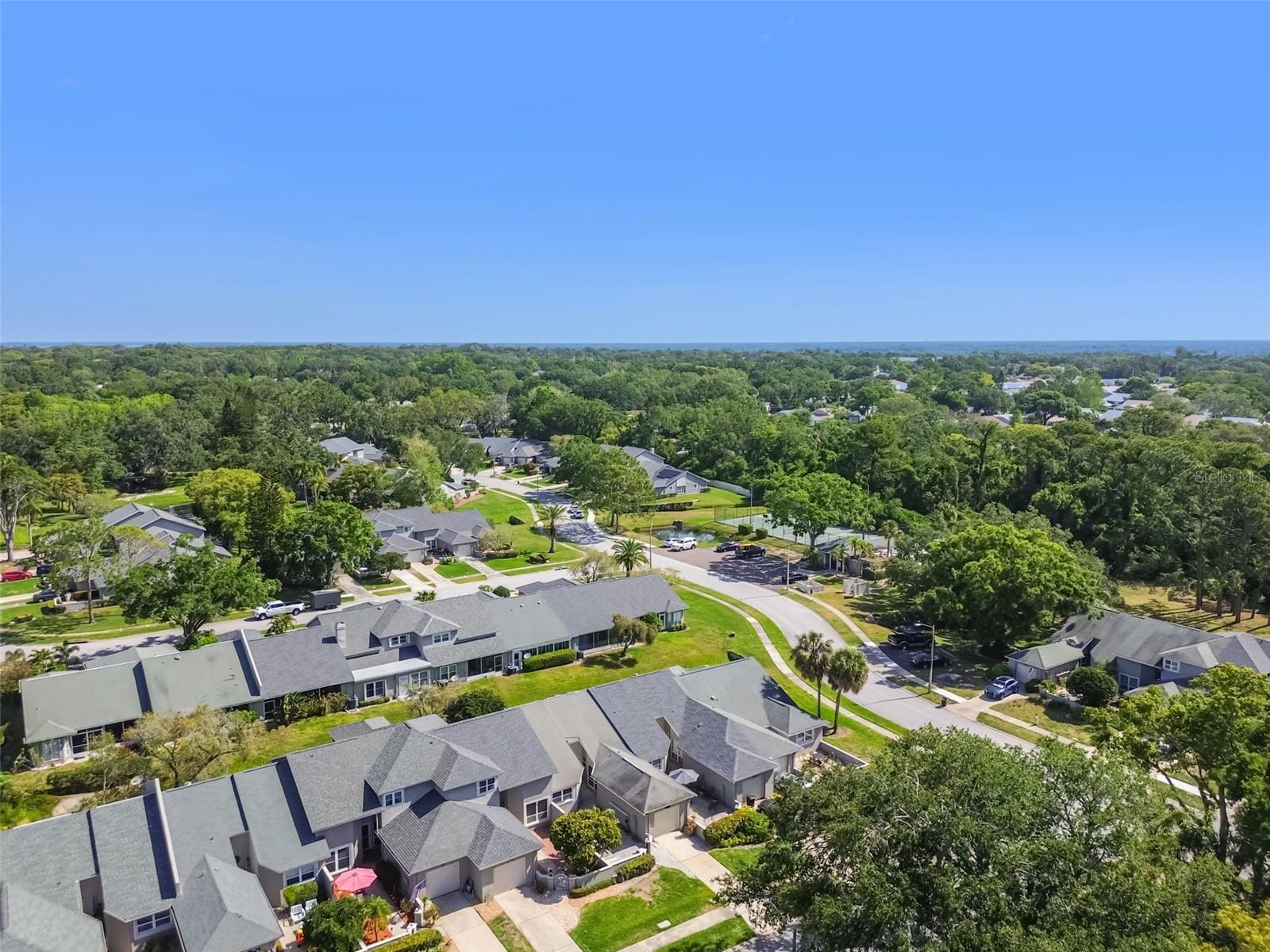 232 HUNTER CT, PALM HARBOR, FL, 34684