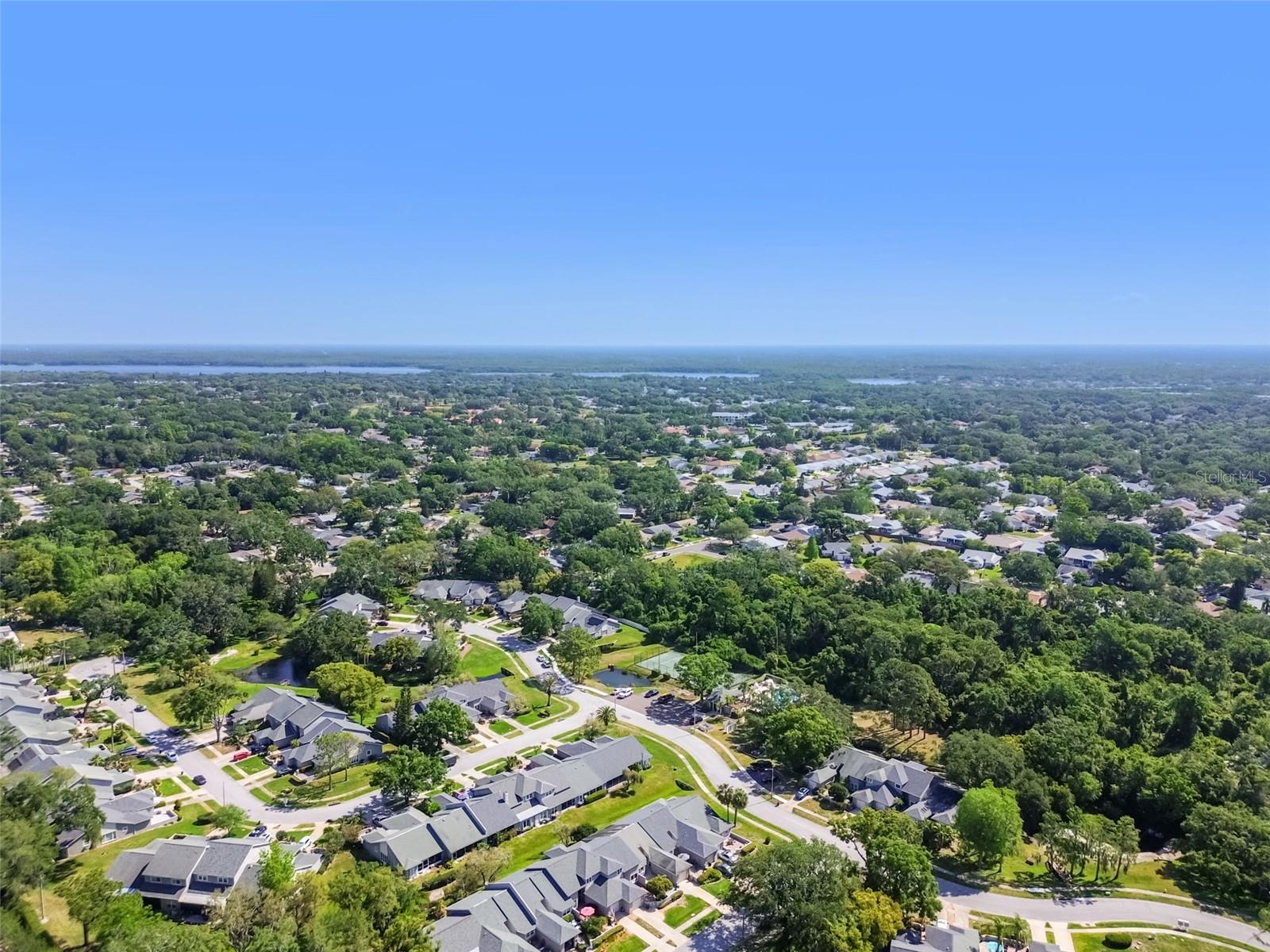 232 HUNTER CT, PALM HARBOR, FL, 34684