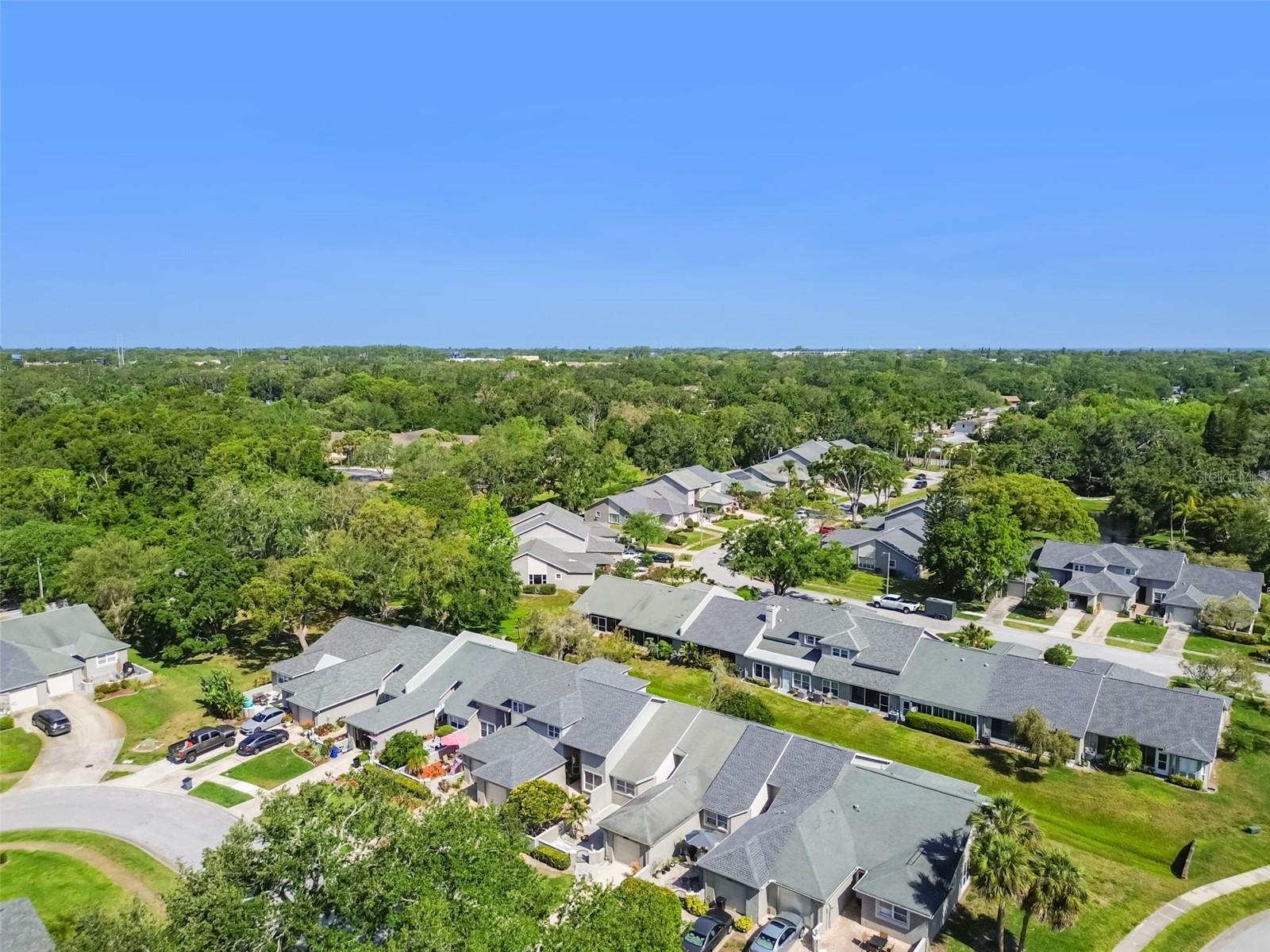 232 HUNTER CT, PALM HARBOR, FL, 34684