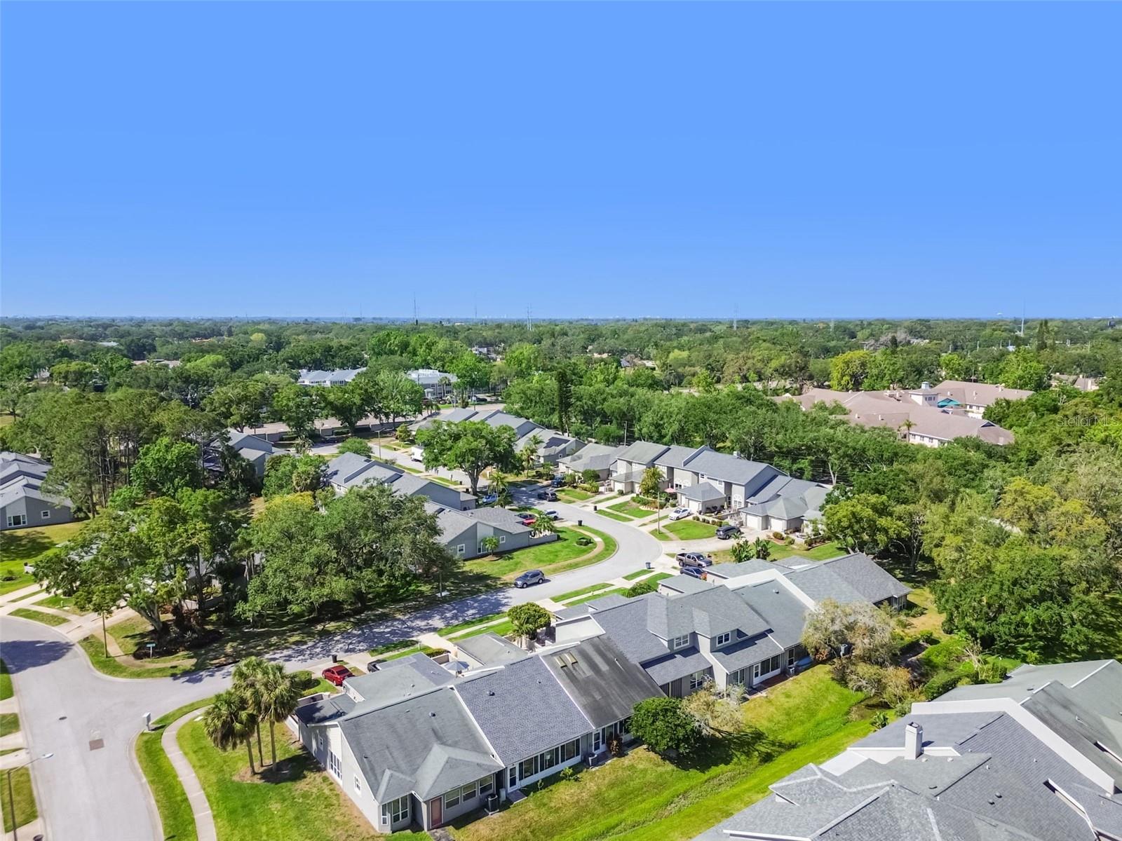 232 HUNTER CT, PALM HARBOR, FL, 34684