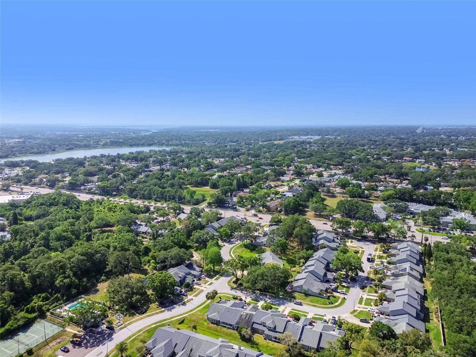 232 HUNTER CT, PALM HARBOR, FL, 34684