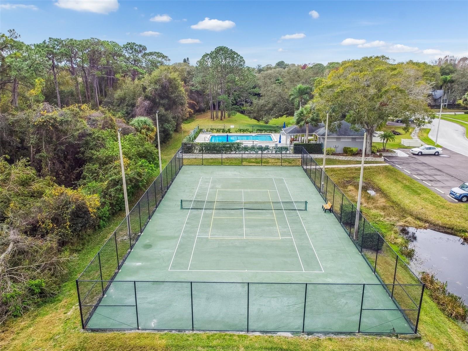 232 HUNTER CT, PALM HARBOR, FL, 34684