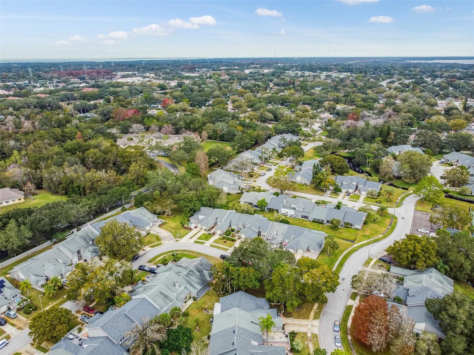 232 HUNTER CT, PALM HARBOR, FL, 34684