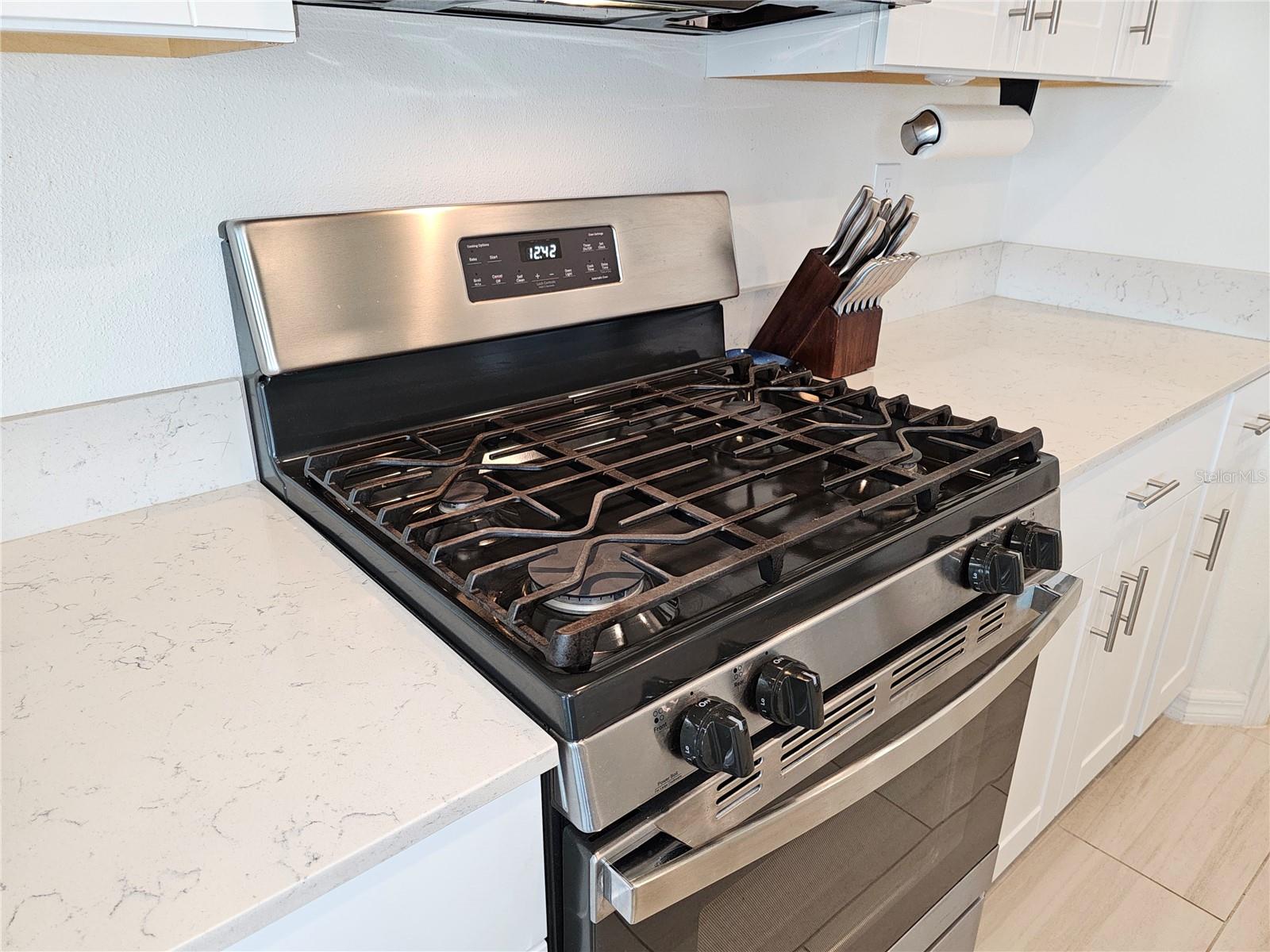 13156 MERLOT SUNSTONE CV, PARRISH, FL, 34219