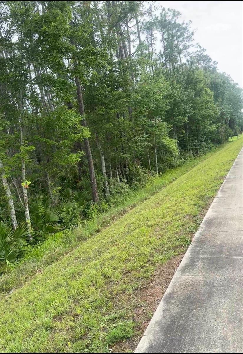 3252 9TH ST, ELKTON, FL, 32033