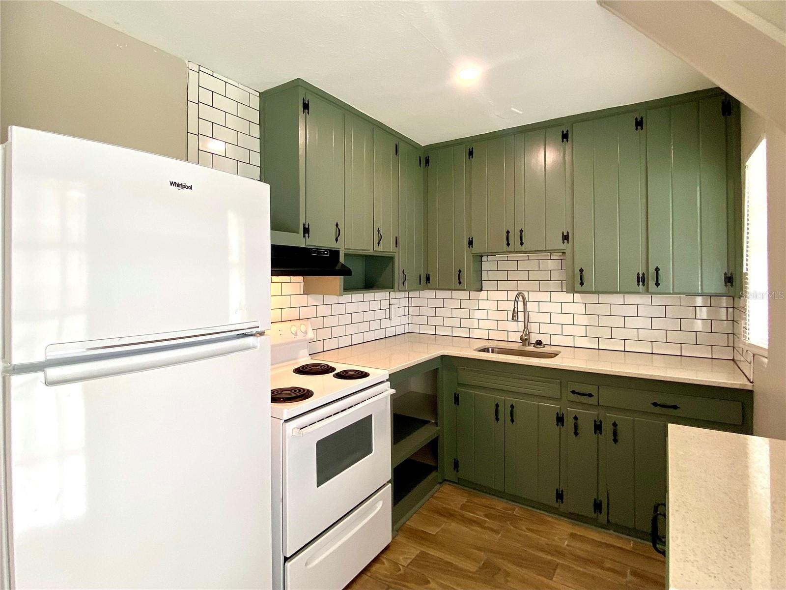 311 LAKE ANNIE DR, APOPKA, FL, 32703