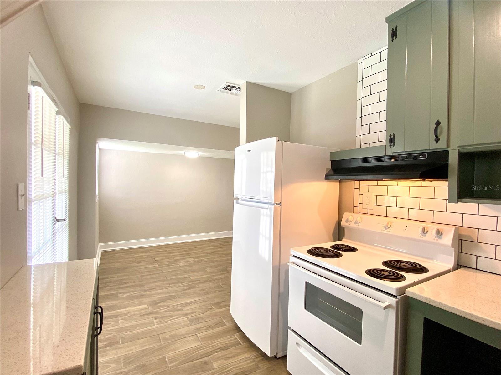 311 LAKE ANNIE DR, APOPKA, FL, 32703