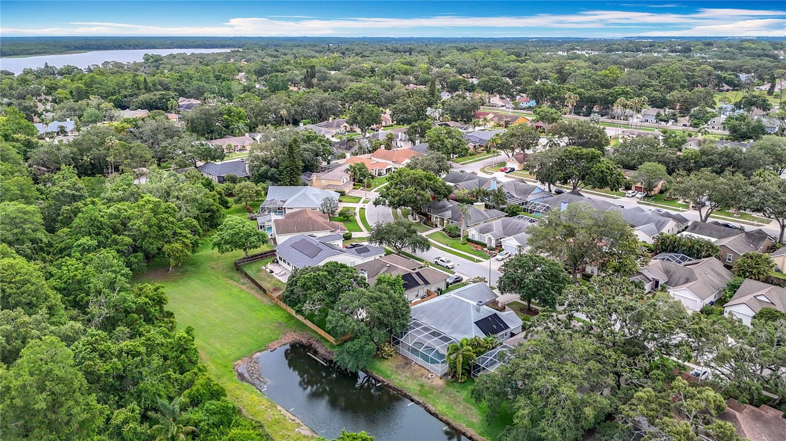 3001 REGAL OAKS BLVD, PALM HARBOR, FL, 34684