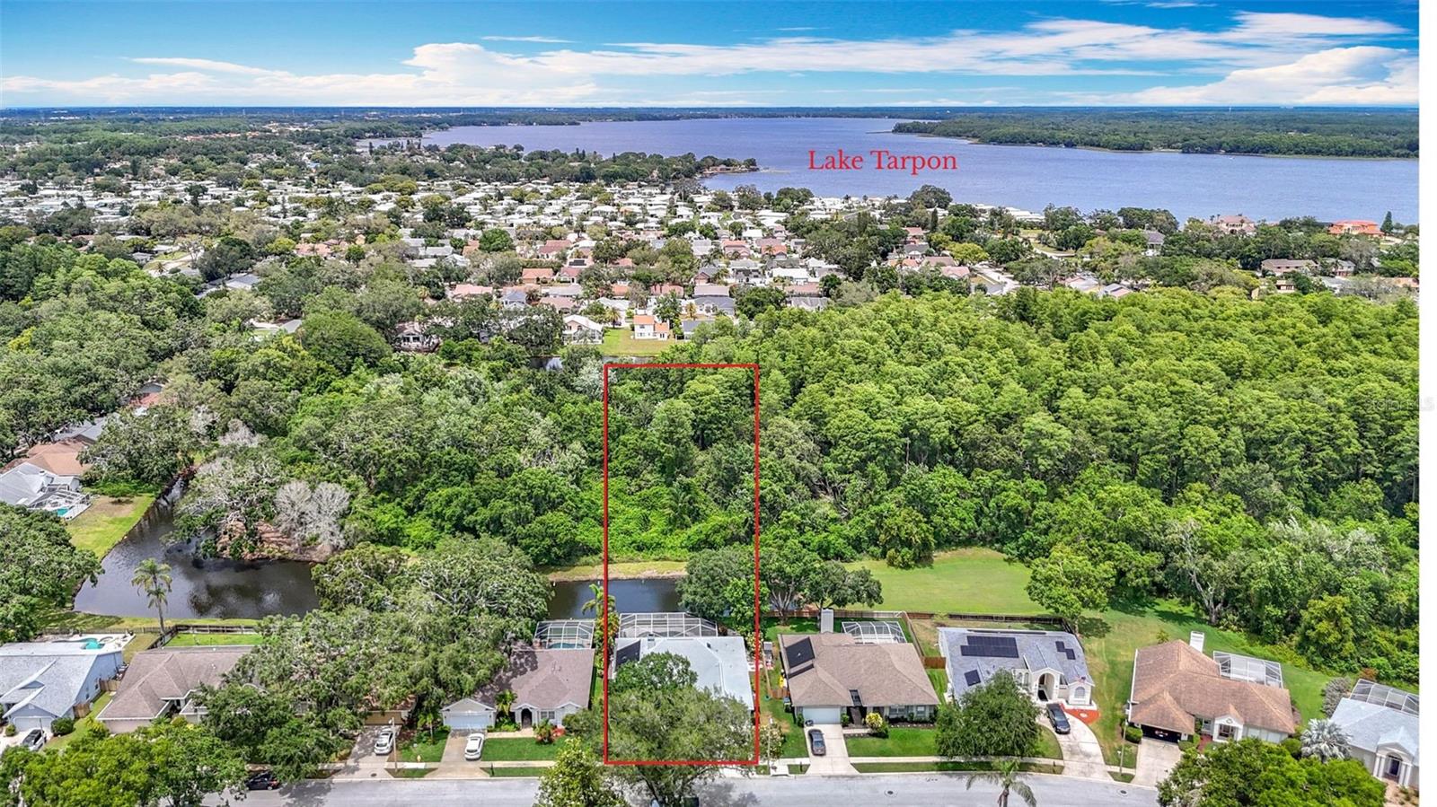 3001 REGAL OAKS BLVD, PALM HARBOR, FL, 34684