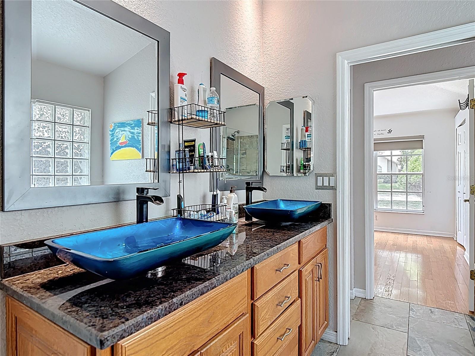 3001 REGAL OAKS BLVD, PALM HARBOR, FL, 34684