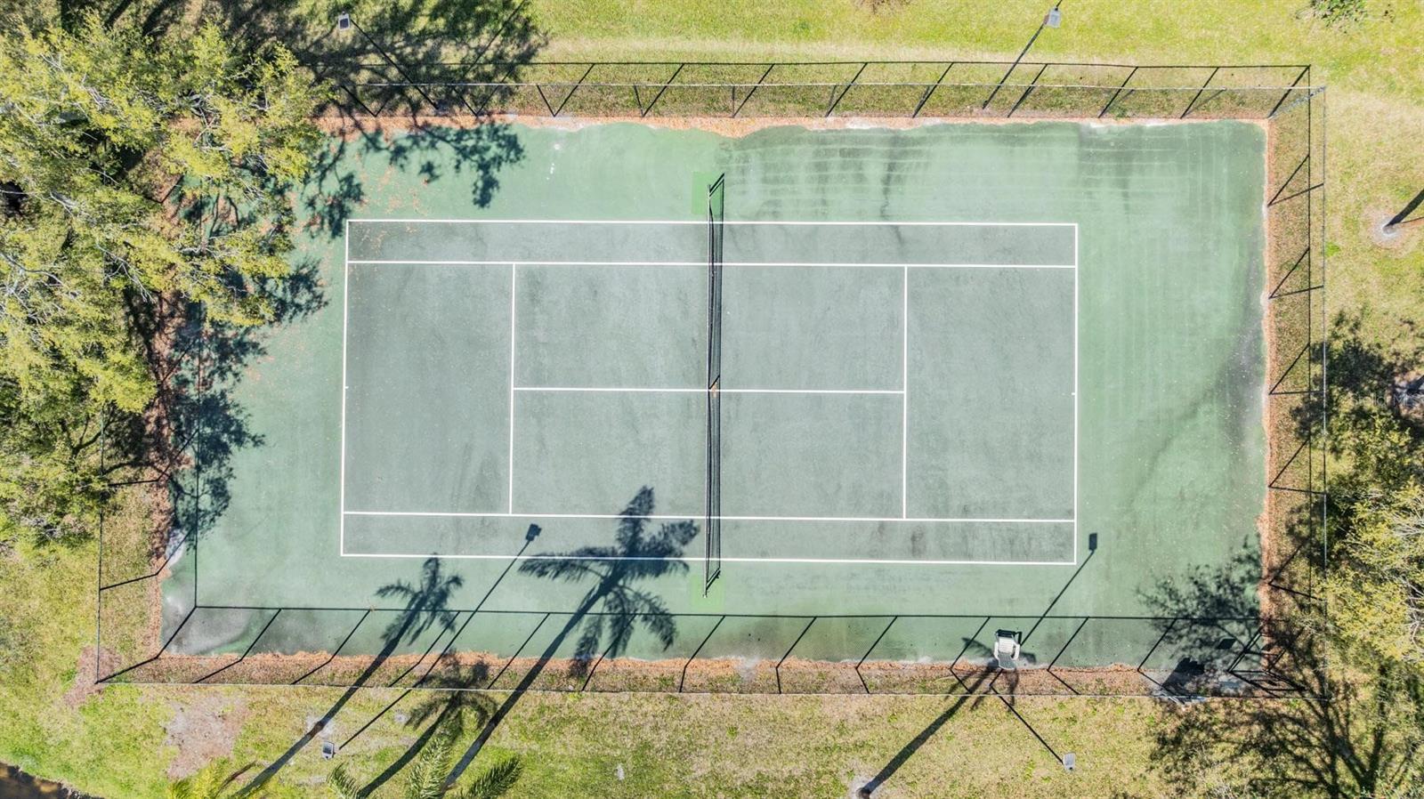 1837 LAKE CYPRESS DR #504, SAFETY HARBOR, FL, 34695