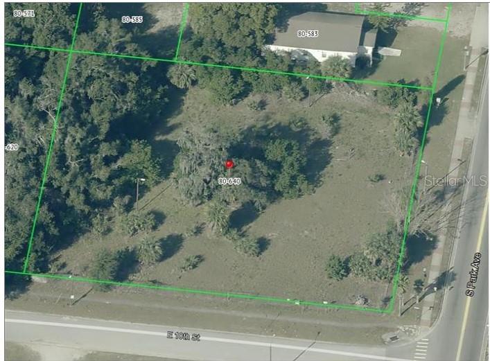 950 S PARK AVE, APOPKA, FL, 32703