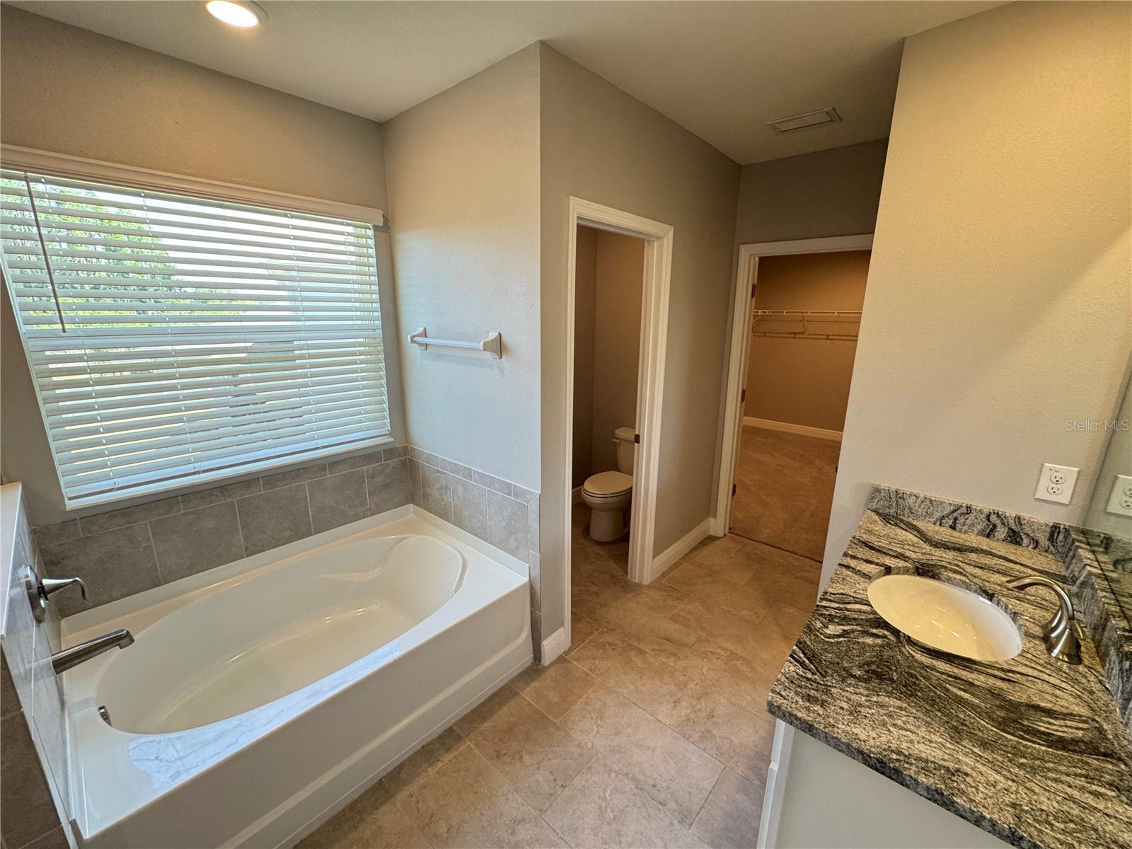 1381 BERING RD, WESLEY CHAPEL, FL, 33543