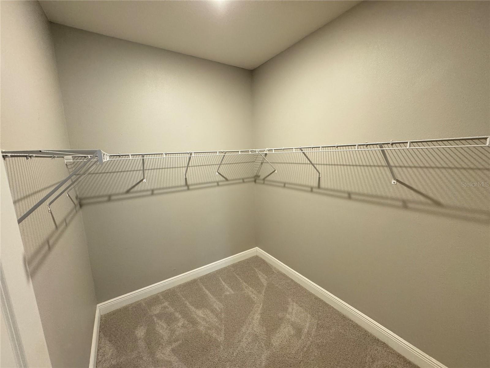 1381 BERING RD, WESLEY CHAPEL, FL, 33543