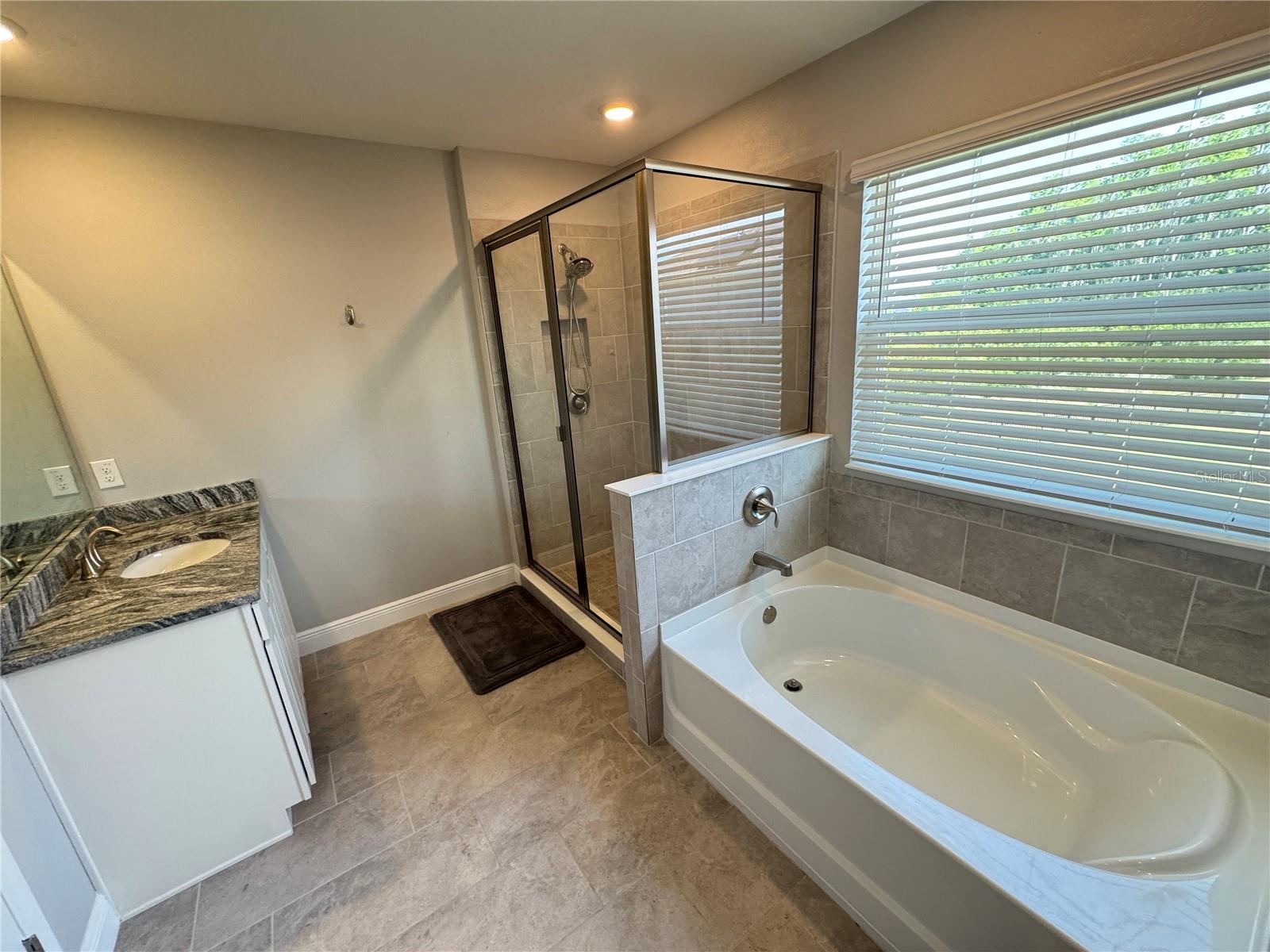 1381 BERING RD, WESLEY CHAPEL, FL, 33543