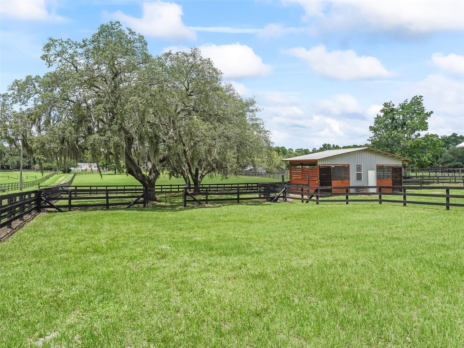 2190 NW 150TH AVE, OCALA, FL, 34482