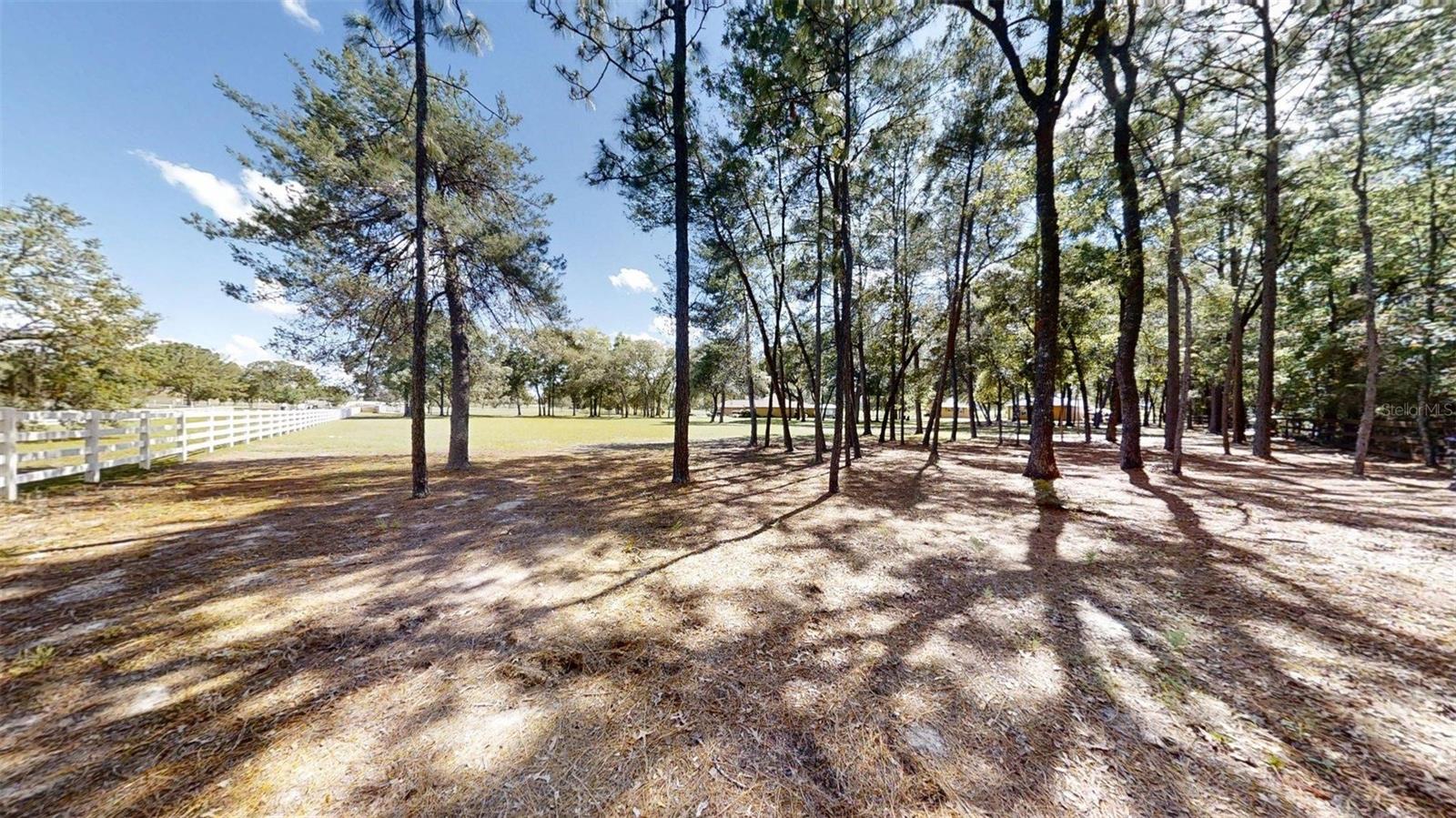 10528 SW 27TH AVE, OCALA, FL, 34476