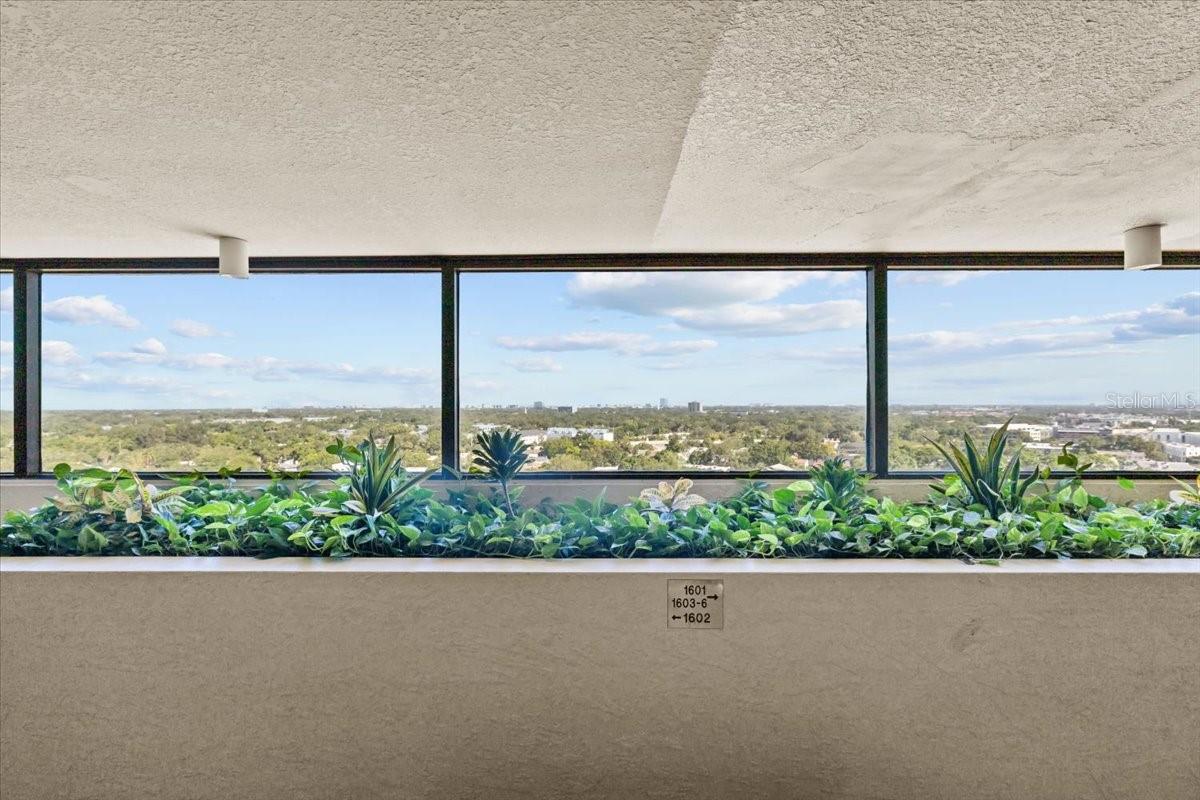 2413 BAYSHORE BLVD #1604, TAMPA, FL, 33629