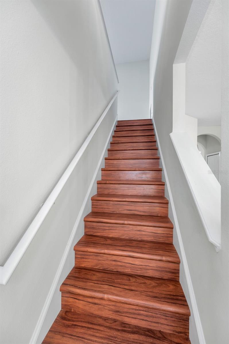 10344 TECOMA DR, TRINITY, FL, 34655