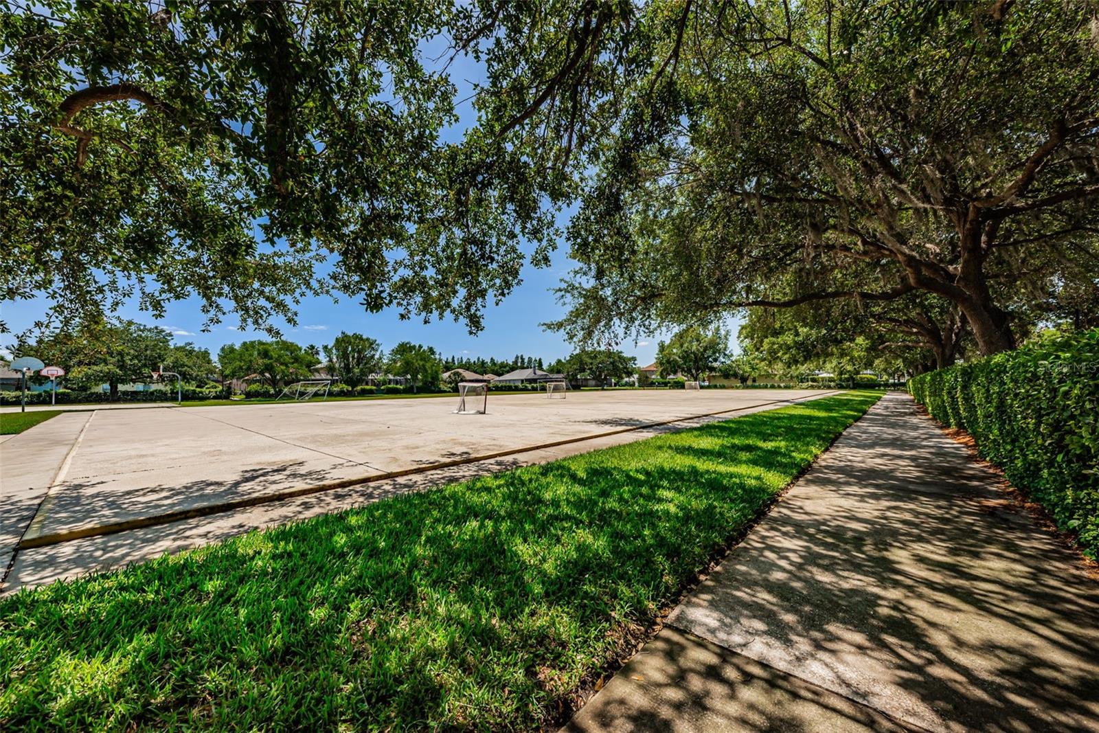 10344 TECOMA DR, TRINITY, FL, 34655