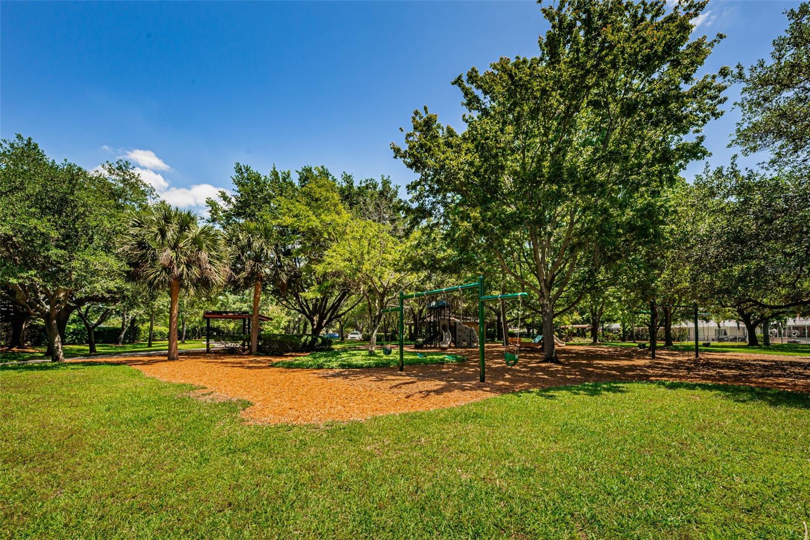 10344 TECOMA DR, TRINITY, FL, 34655