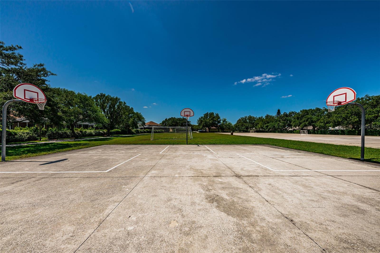 10344 TECOMA DR, TRINITY, FL, 34655