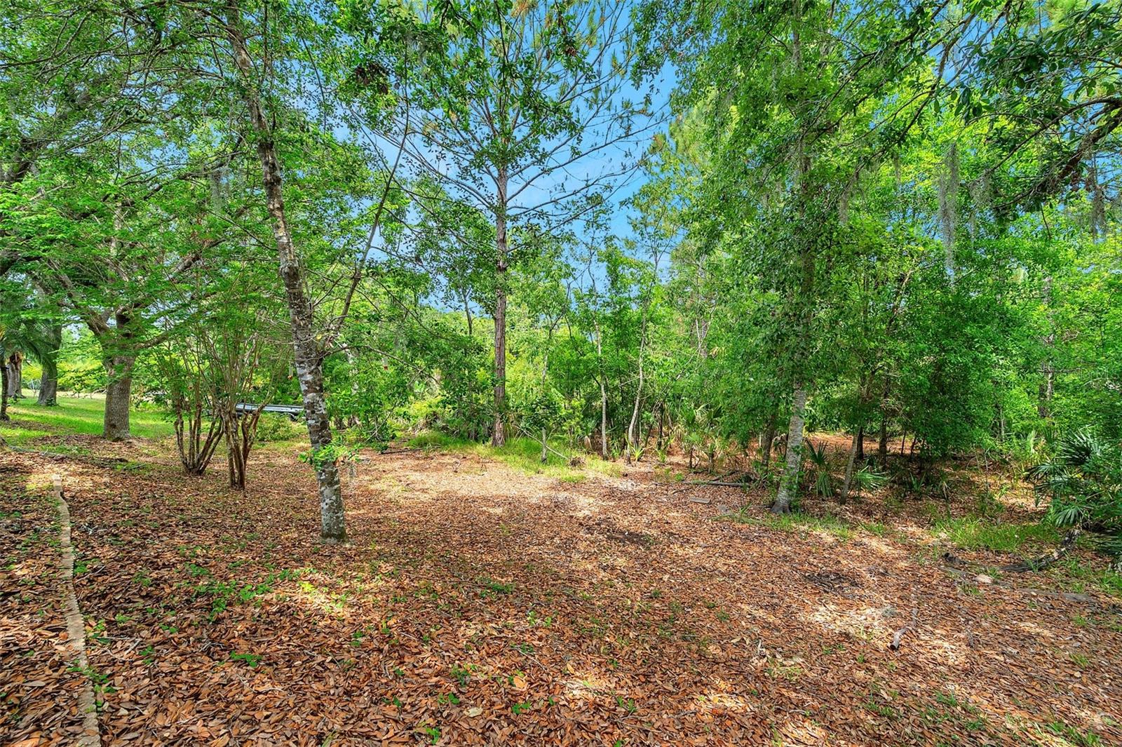 19156 DOVE CREEK DR, TAMPA, FL, 33647