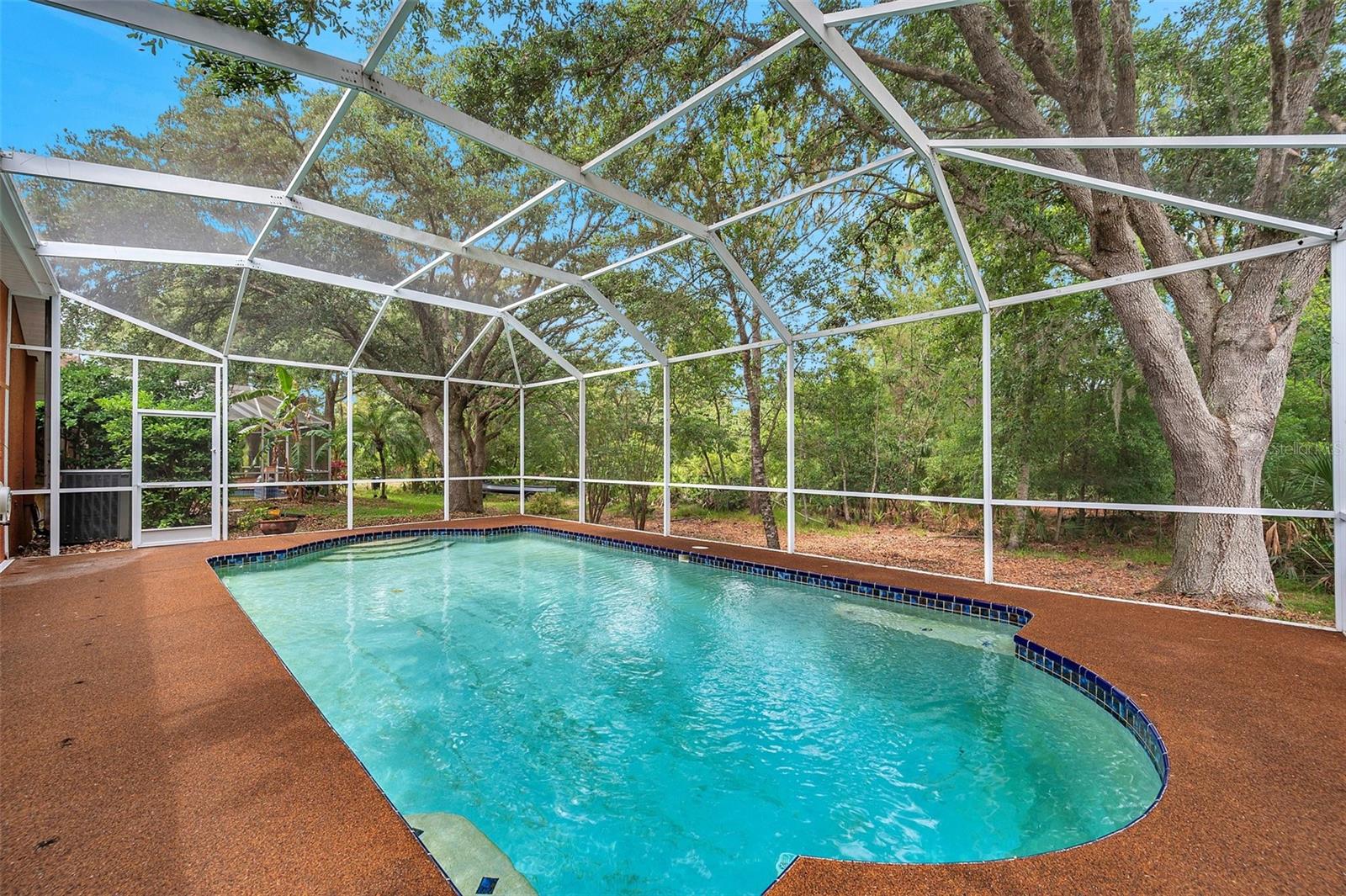 19156 DOVE CREEK DR, TAMPA, FL, 33647