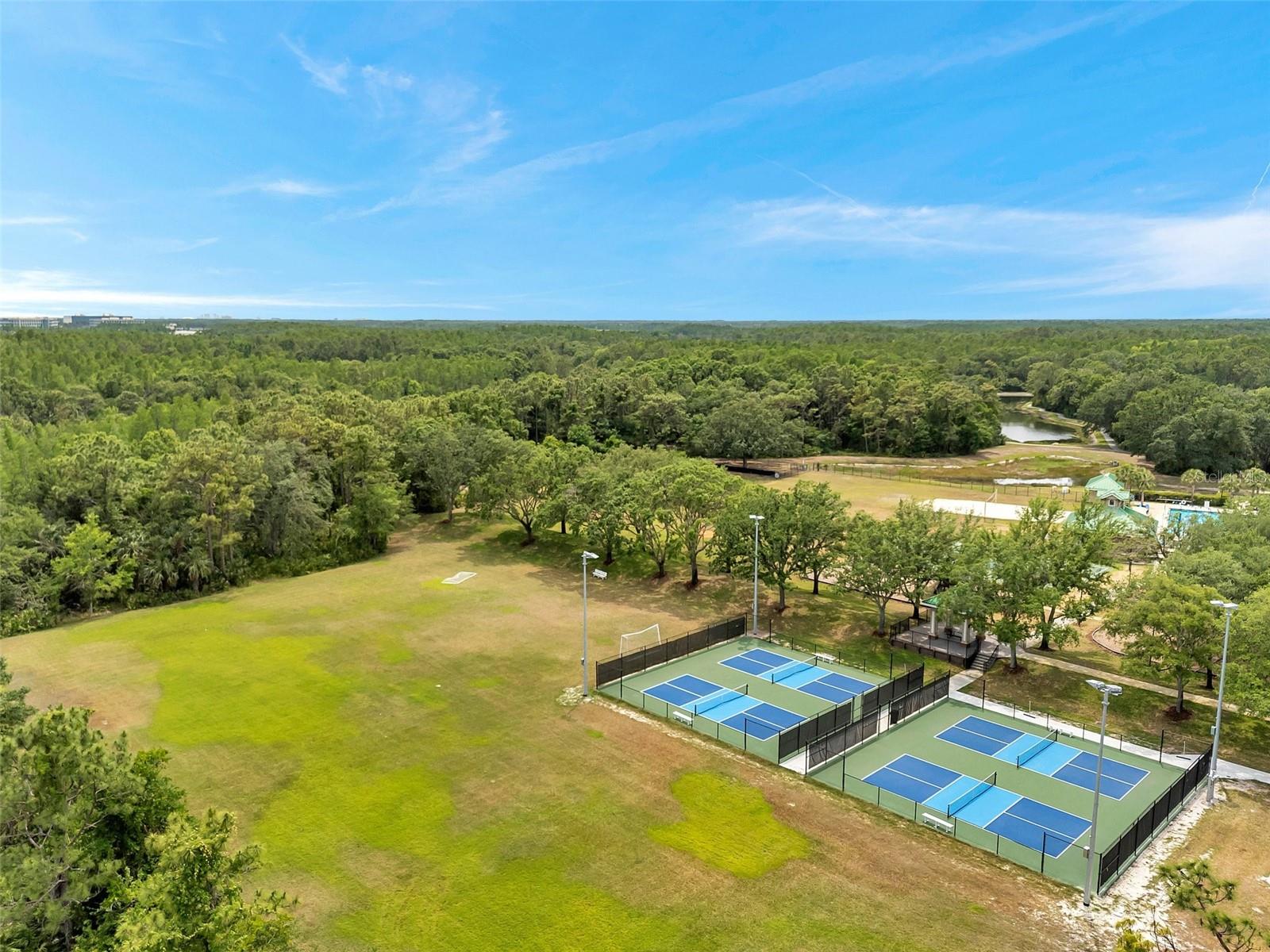 19156 DOVE CREEK DR, TAMPA, FL, 33647