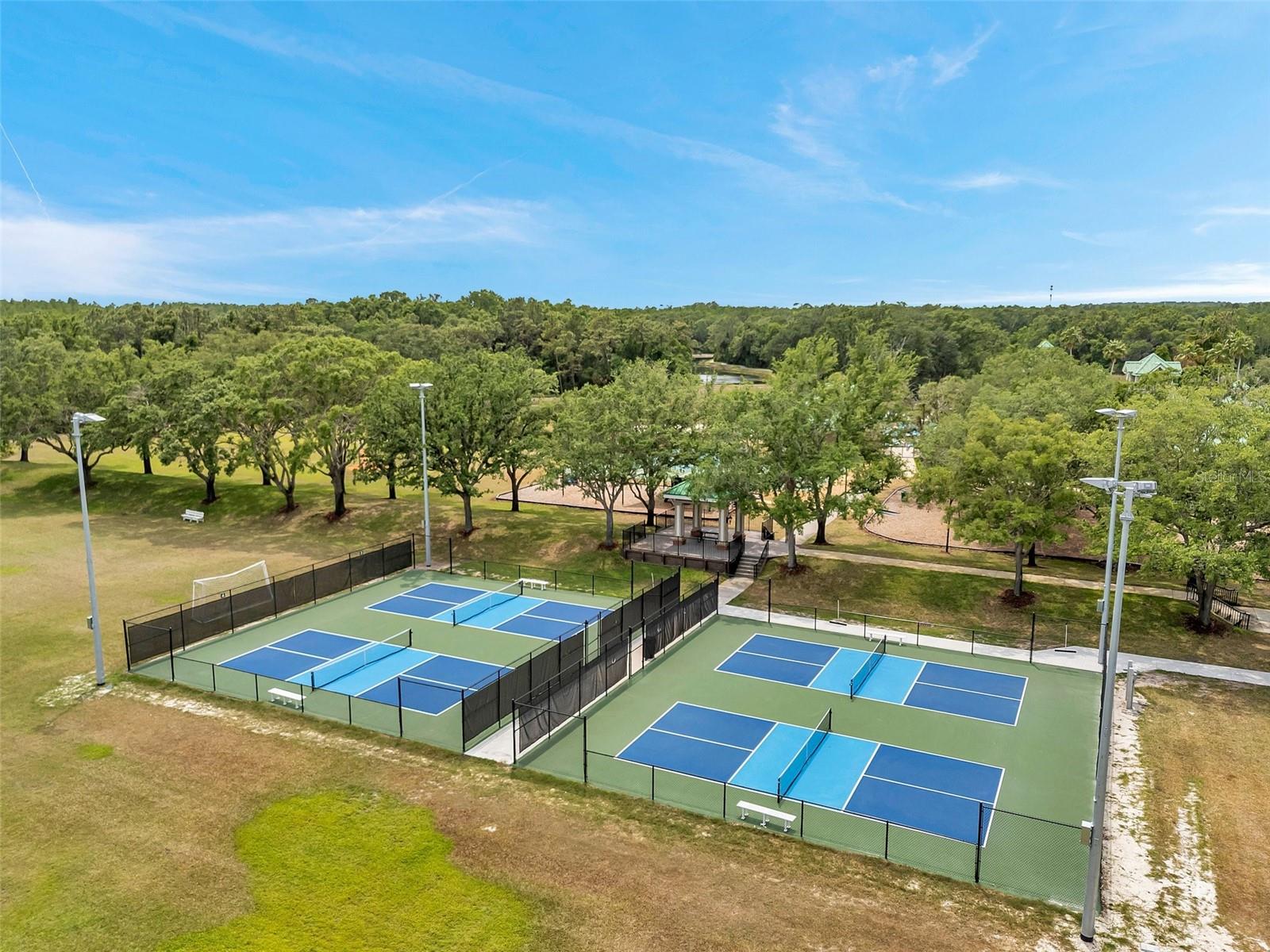 19156 DOVE CREEK DR, TAMPA, FL, 33647