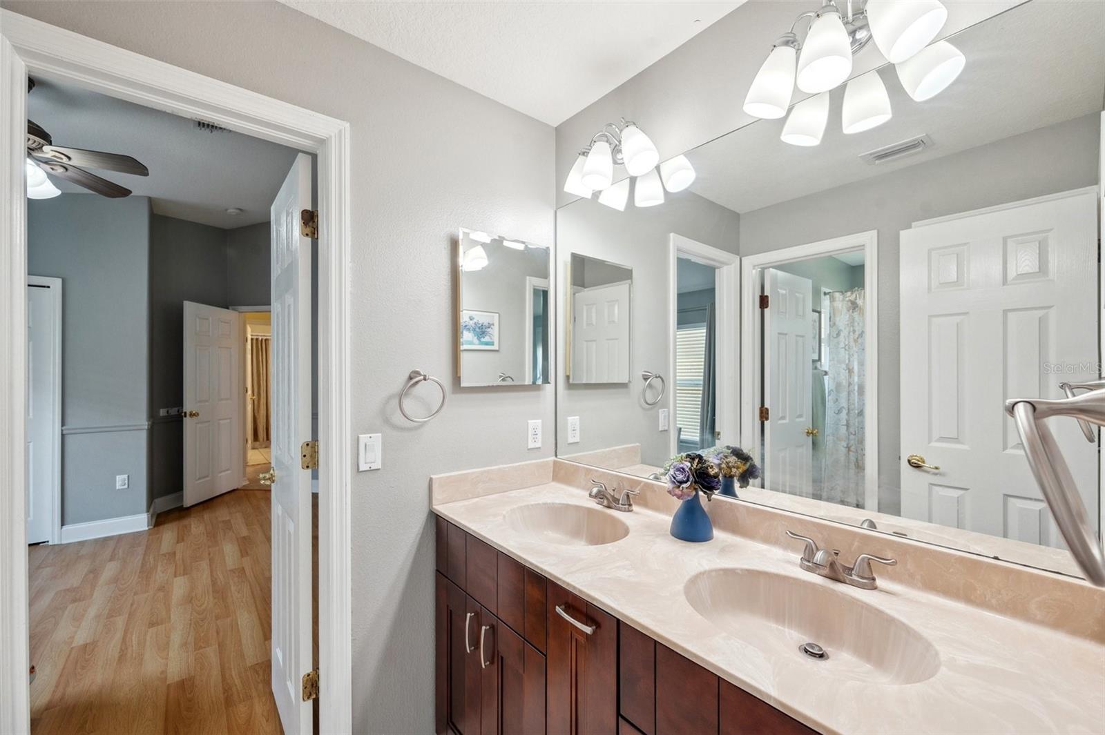 19156 DOVE CREEK DR, TAMPA, FL, 33647