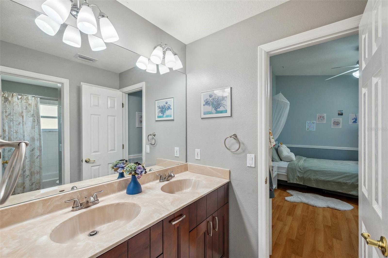 19156 DOVE CREEK DR, TAMPA, FL, 33647